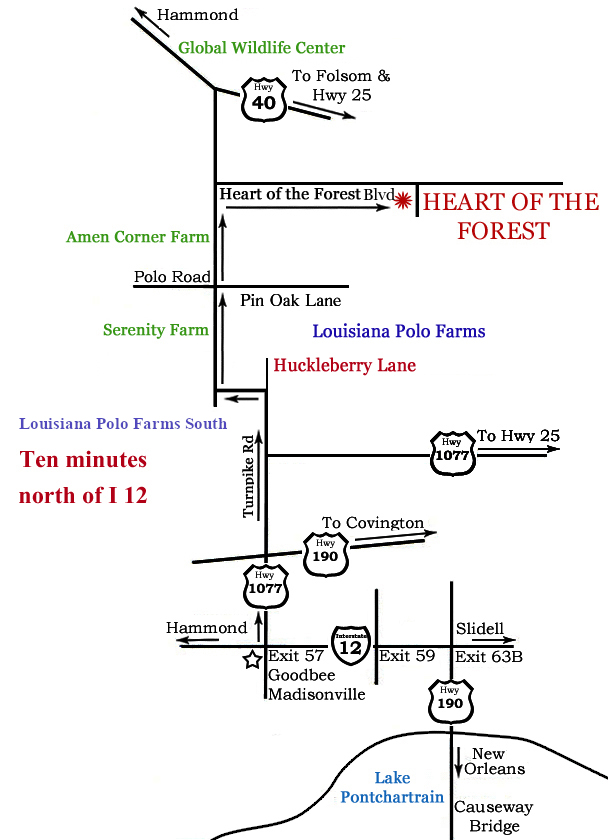 Louisiana Polo Farms, Inc.